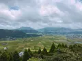 イロナキカゼの写真_263771