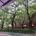 【閉業】ロータスバゲット 中目黒ロータスの写真_264130