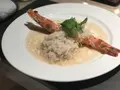 ミモザ （MIMOSA）の写真_264311