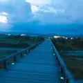 蓬莱橋の写真_265157