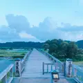 蓬莱橋の写真_265159