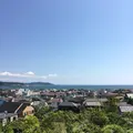 長谷寺の写真_265452