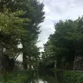 八幡堀の写真_265848
