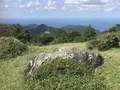 隠岐の島町沿岸の写真_266469