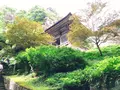 宝珠山立石寺の写真_266873