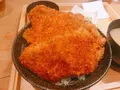 新潟カツ丼タレカツ吉祥寺店の写真_266896