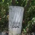 USHIO CHOCOLATL （ウシオチョコラトル）の写真_267950