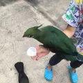 松江フォーゲルパークの写真_267954