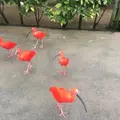 松江フォーゲルパークの写真_267956