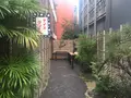  カフェ キツネ（CAFE KITSUNE）の写真_267980