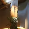 ラコリーナ近江八幡の写真_268329