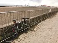 城南島海浜公園の写真_268590