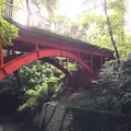 等々力渓谷の写真_268676