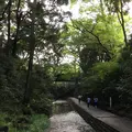 等々力渓谷の写真_268681