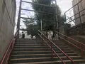 須賀神社の写真_268732