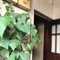 カフェ レ ジュ グルニエ （Cafe Les Jeux Grnie）の写真_269001