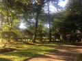 鳥潟会館の写真_269025