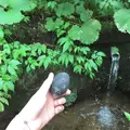 乳頭温泉郷の写真_269286