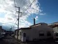 グリーン銭湯の写真_269351