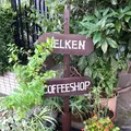 ネルケンの写真_269521