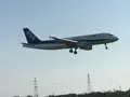 千里川土手の写真_270999