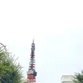 東京プリンスホテルの写真_271818