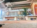 ジャングリラの写真_271854