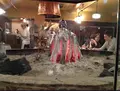 二代目 魚々子の写真_272647
