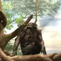 よこはま動物園ズーラシアの写真_272657