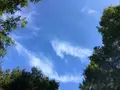 よこはま動物園ズーラシアの写真_272662