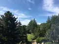 よこはま動物園ズーラシアの写真_272663