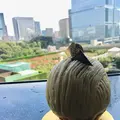 ホテルニューオータニパティスリーＳＡＴＳＵＫＩの写真_272697