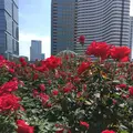 ホテルニューオータニパティスリーＳＡＴＳＵＫＩの写真_272698