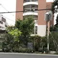 Buriki no Zyoro (ブリキのジョーロ)の写真_273589