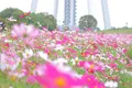 ツインアーチ１３８の写真_273696