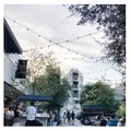 TENOHA & STYLE STORE (テノハ代官山)の写真_273751