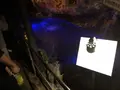 うなぎパイファクトリーの写真_274145