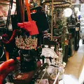 new territoryの写真_274785
