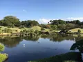 水前寺成趣園の写真_275703