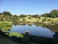 水前寺成趣園の写真_275704