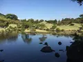 水前寺成趣園の写真_275705