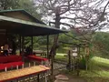六義園の写真_275727