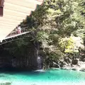 いわなの里峡の写真_276079