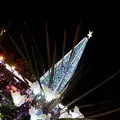 あしかがフラワーパークの写真_277810