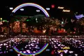 あしかがフラワーパークの写真_277811