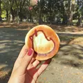コトリパンの写真_278637