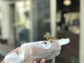 Camelback sandwich&espresso（キャメルバック サンドウィッチ&エスプレッソ）の写真_278829
