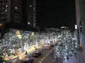 六本木けやき坂通りの写真_279054