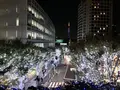 六本木けやき坂通りの写真_279055