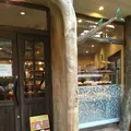パン樹・久遠の写真_279461